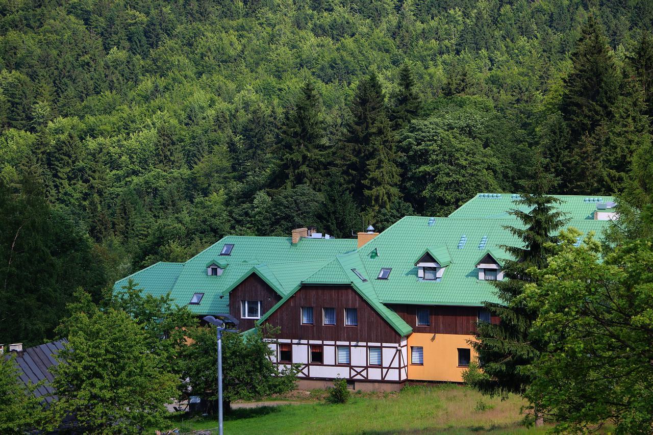 Bed and Breakfast Bialy Potok Zieleniec  Exteriér fotografie